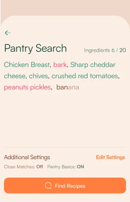 Pantry ingredient search